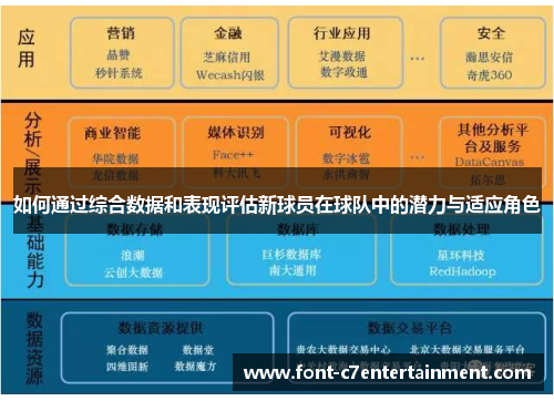 如何通过综合数据和表现评估新球员在球队中的潜力与适应角色