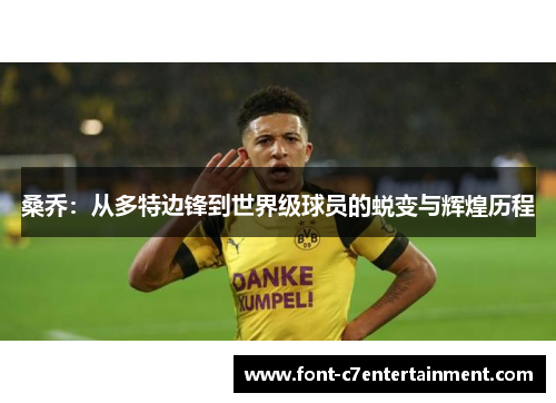 桑乔：从多特边锋到世界级球员的蜕变与辉煌历程