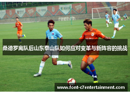 桑德罗离队后山东泰山队如何应对变革与新阵容的挑战 桑德罗离队后山东泰山队如何应对变革与新阵容的挑战
