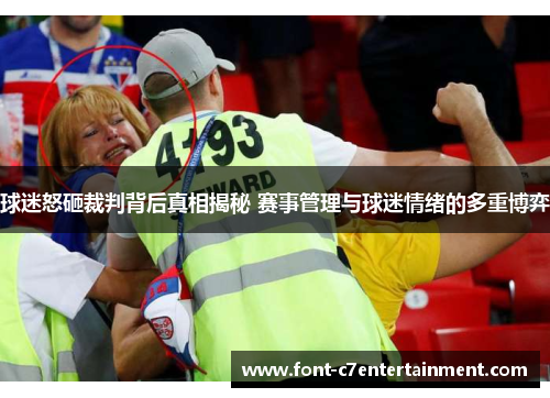 球迷怒砸裁判背后真相揭秘 赛事管理与球迷情绪的多重博弈