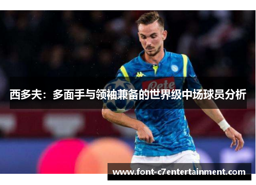 西多夫:多面手与领袖兼备的世界级中场球员分析 西多夫:多面手与领袖兼备的世界级中场球员分析