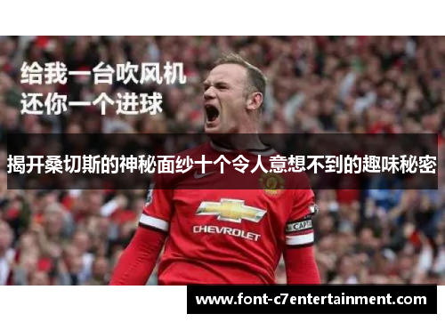 揭开桑切斯的神秘面纱十个令人意想不到的趣味秘密