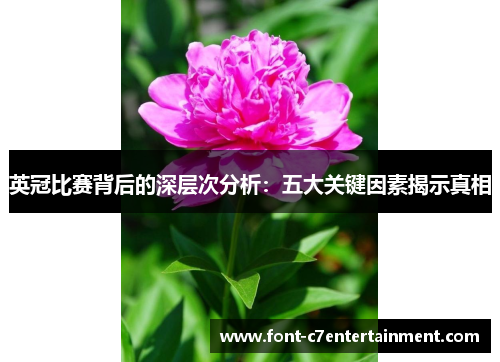 英冠比赛背后的深层次分析：五大关键因素揭示真相