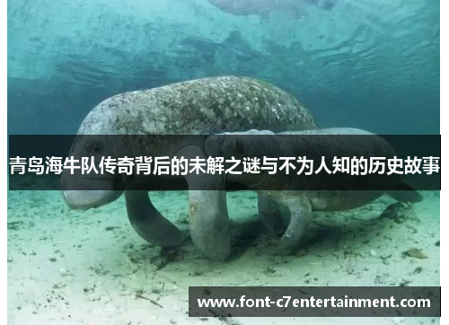 青岛海牛队传奇背后的未解之谜与不为人知的历史故事