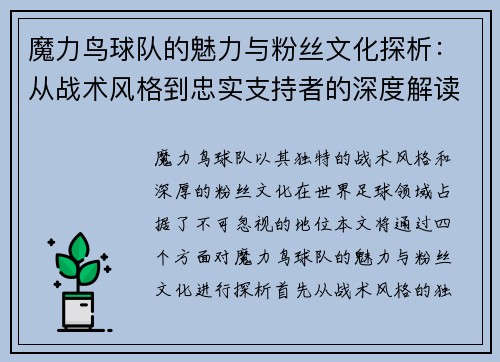 魔力鸟球队的魅力与粉丝文化探析：从战术风格到忠实支持者的深度解读